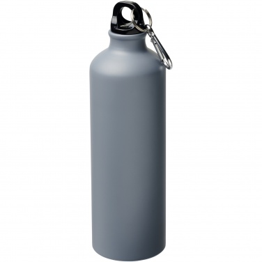 Logotrade advertising products photo of: Oregon 770 ml matte water bottle with carabiner
