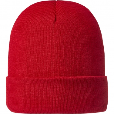 Logo trade promotional gifts picture of: Irwin beanie