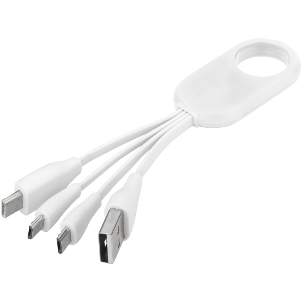Logotrade corporate gifts photo of: Troup 4-in-1 charging cable with type-C tip