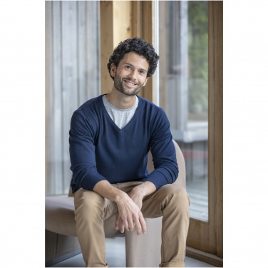 Logotrade advertising product image of: Stanton men's v-neck pullover
