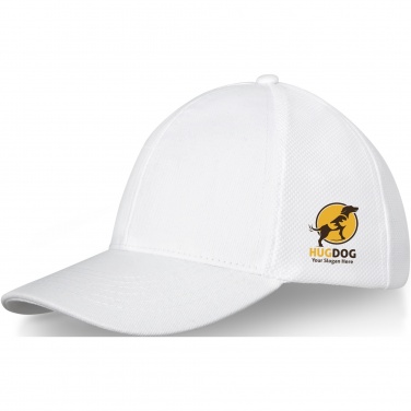 Logotrade promotional merchandise photo of: Drake 6 panel trucker cap