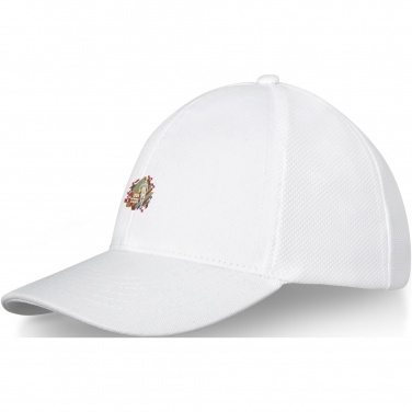 Logotrade promotional products photo of: Drake 6 panel trucker cap