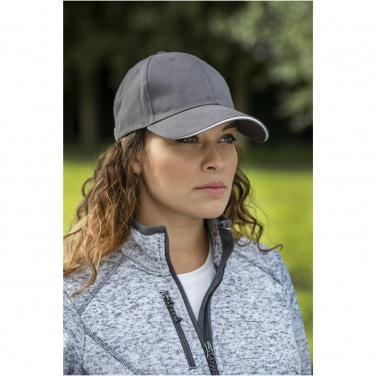 Logotrade promotional merchandise picture of: Darton 6 panel sandwich cap