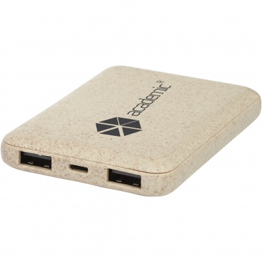 Logo trade corporate gifts image of: Asama 5000 mAh wheat straw power bank