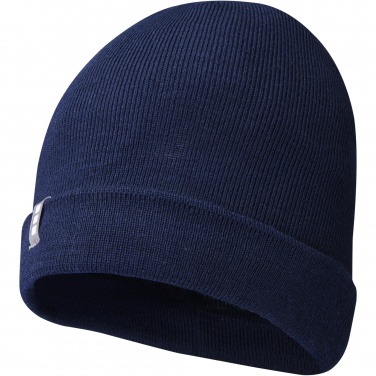 Logotrade promotional merchandise photo of: Hale Polylana® beanie