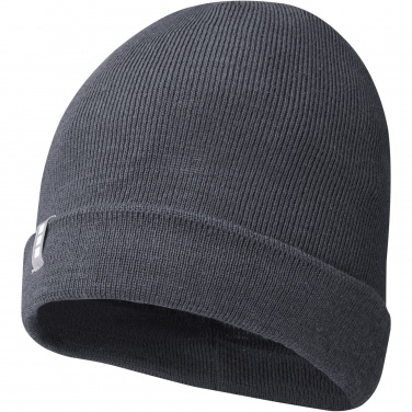 Logotrade promotional giveaway picture of: Hale Polylana® beanie