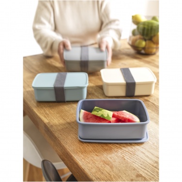 Logo trade corporate gifts picture of: Dovi recycled plastic lunch box