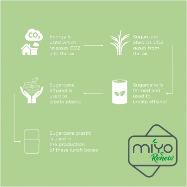 Logo trade promotional gifts picture of: MIYO Renew double layer lunch box