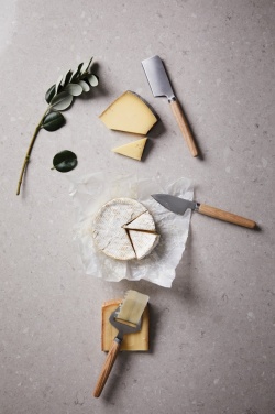 Logotrade promotional gifts photo of: VINGA Retro cheese set