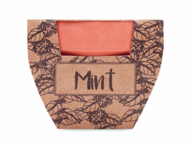 Logotrade promotional merchandise picture of: Terracotta pot mint seeds