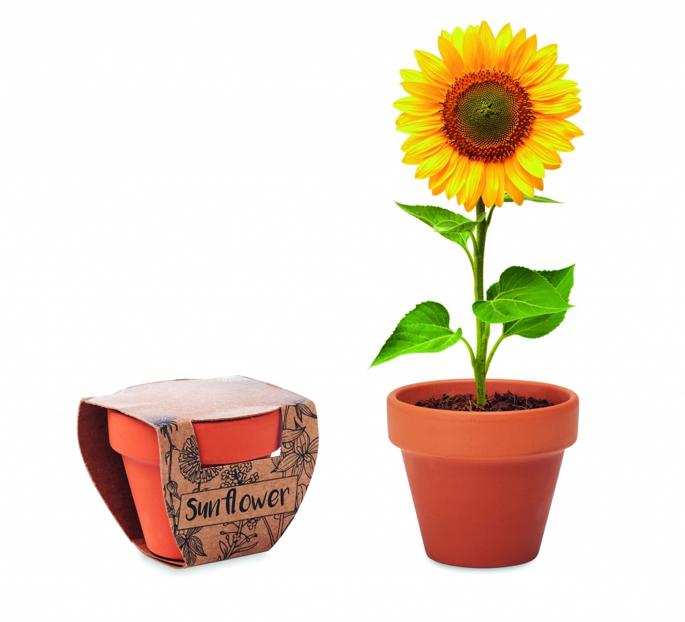 Logotrade promotional giveaway picture of: Terracotta pot 'sunflower'