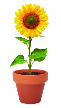 Logo trade promotional merchandise picture of: Terracotta pot 'sunflower'