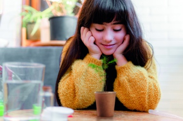 Logotrade promotional merchandise photo of: Pine tree set