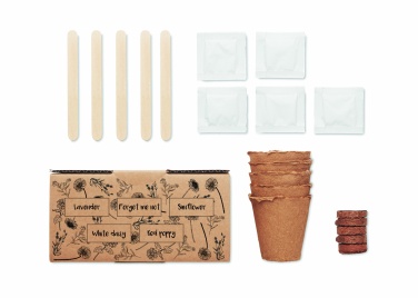 Logotrade promotional merchandise photo of: Flowers growing kit