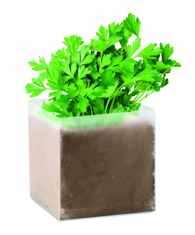 Logotrade promotional product picture of: Compost with seeds "PARSLEY"