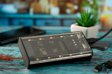 Logo trade promotional giveaway photo of: Power bank 10 000 mAh DARWIN