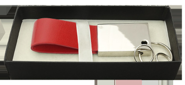 Logo trade promotional item photo of: Keyring 909119