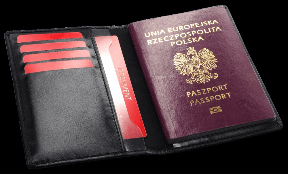 Logotrade promotional merchandise photo of: RFID passport case 1301131