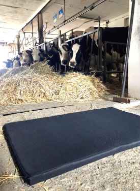 Logo trade promotional gift photo of: Disinfection mat 100x120x3cm 1370087