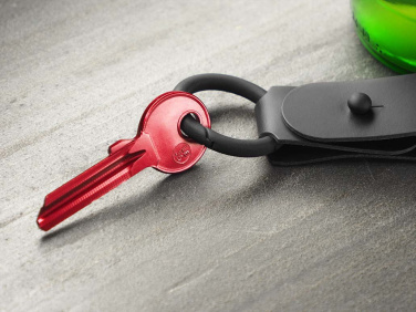 Logo trade promotional products image of: Keyring 1709094