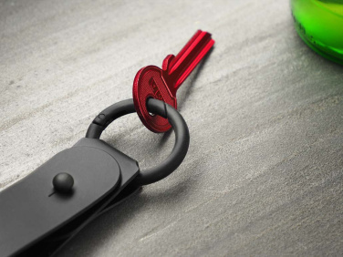 Logo trade promotional item photo of: Keyring 1709094