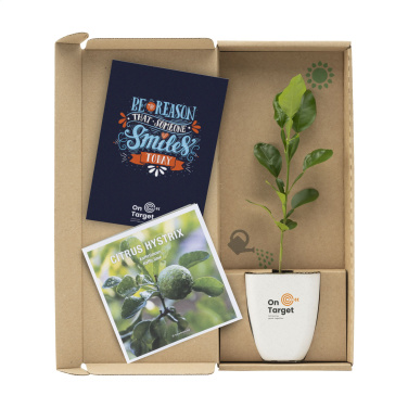Logotrade corporate gift image of: Treemore Letterbox Trees Kaffir Lemon