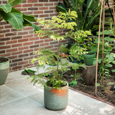 Logo trade advertising products picture of: Treemore Letterbox Trees Giant Sequoia