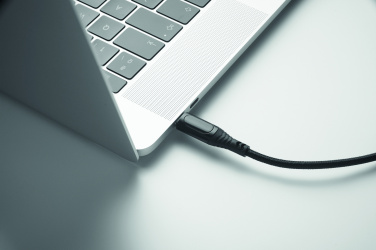 Logotrade promotional gifts photo of: 100W charging cable type-C