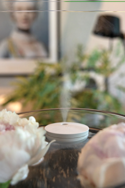 Logotrade promotional giveaways photo of: Breevia RCS rplasic re-chargeable floating humidifier