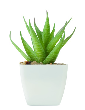 Logo trade promotional products picture of: Mini artificial plant