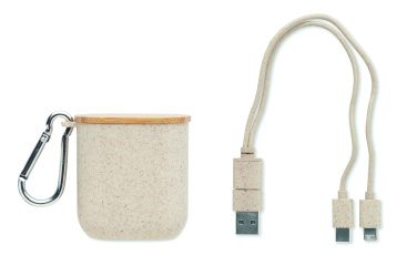 Logo trade promotional gift photo of: Cable set in case