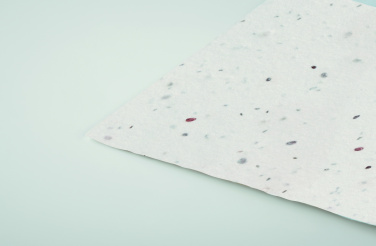 Logo trade promotional item photo of: Wildflower seed business card.