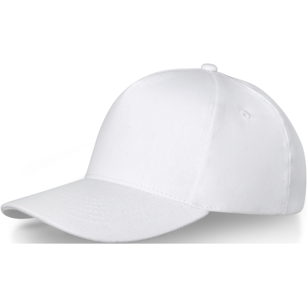 Logotrade reklaamtooted pilt: Doyle 5 paneeli kork