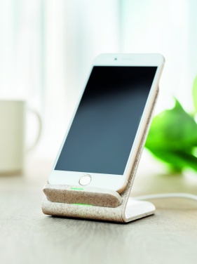 Logotrade reklaamkingitused pilt: Nisukõrre/ABS laadija std10W