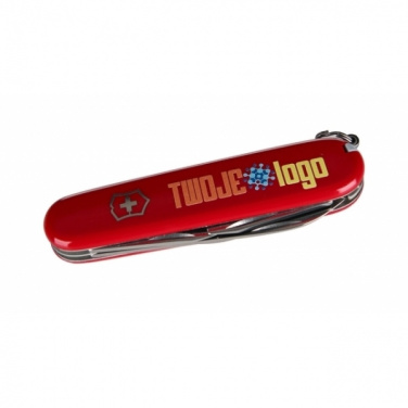 Logo trade reklaamkingi pilt: Taskunuga Explorer Victorinox