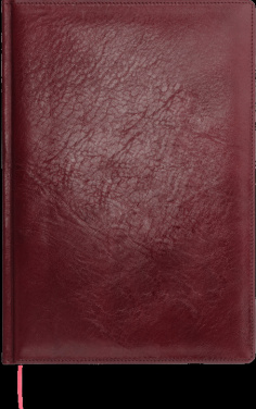 Logotrade ärikingid pilt: Kalendermärkmik 645131