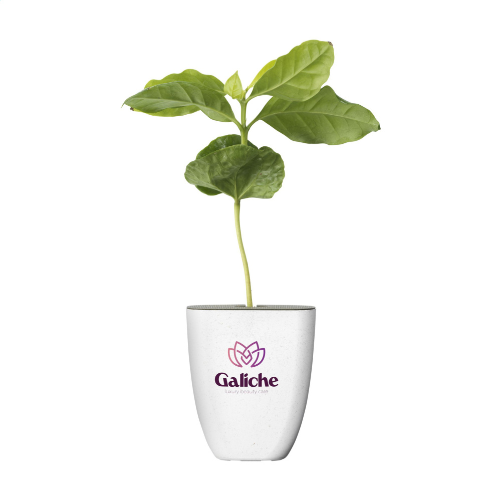 Logotrade reklaamtoote foto: Treemore Letterbox Trees Kohv