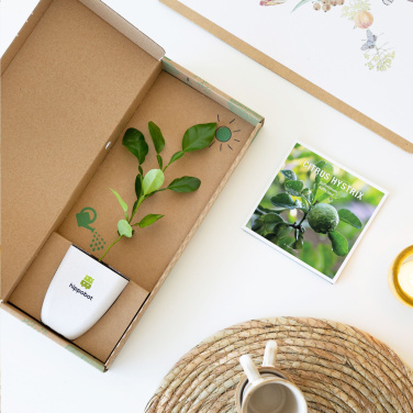 Logo trade reklaamtoote pilt: Treemore Letterbox Trees Kaffir Lemon