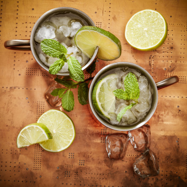 Logotrade ärikingituse foto: IsoMug 300 ml