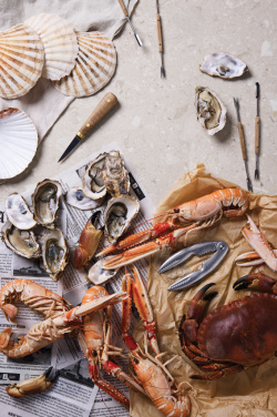 Logotrade reklaamkingid pilt: VINGA "Story of Seafood" mereannikomplekt