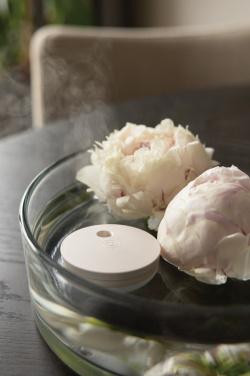 Logotrade ärikingi foto: Breevia RCS plastikust laetav ujuv õhuniisutaja