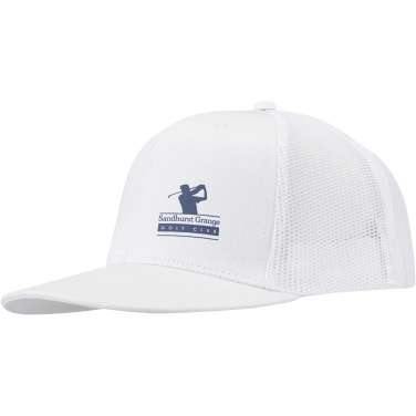 Logo trade firmakingid foto: Drift Snapback 260 g/m2 6 paneeliga nokamüts