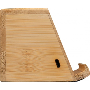 Logotrade mainoslahja ja liikelahja kuva: Induktiokaiutin NUREMBERG