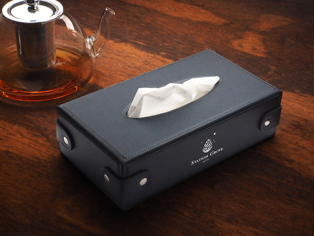 Logotrade mainostuotet kuva: Nenäliinalaatikko 1673319