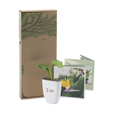 Logotrade liikelahja mainoslahja kuva: Treemore Letterbox Trees Bird of Paradise -kasvi