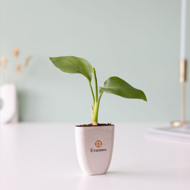 Logotrade mainostuotet kuva: Treemore Letterbox Trees Bird of Paradise -kasvi