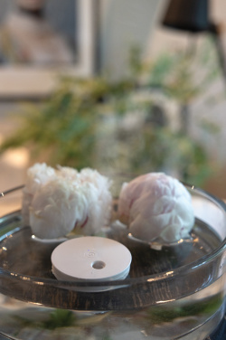 Logo trade liikelahjat mainoslahjat kuva: Breevia RCS rplasic ladattava kelluva ilmankostutin