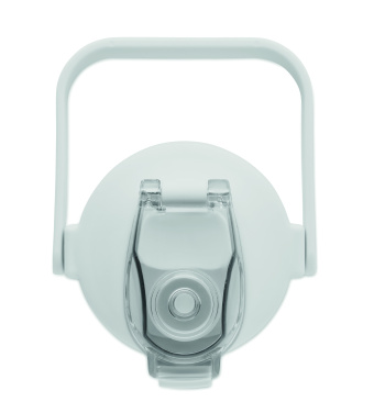 Логотрейд pекламные cувениры картинка: RPET water bottle 2000ml