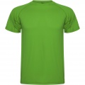 Montecarlo kortärmad sport-T-shirt för herr, Ormbunke grön